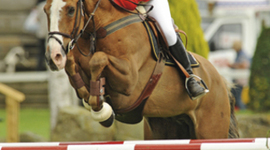 Timeline: showjumping
