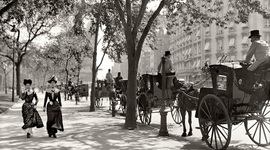 Timeline: SmetanaM History of 1900's