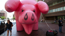 Timeline: Midnight Payraise