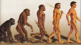 Timeline: cronograma de la evolución