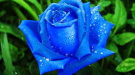 Timeline: Mi vida en resumen