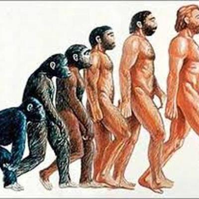 Timeline: La evolución de los homínidos