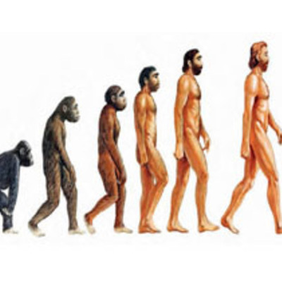 Timeline: Evolución de los homínidos