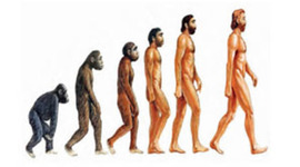 Timeline: Evolución de los homínidos