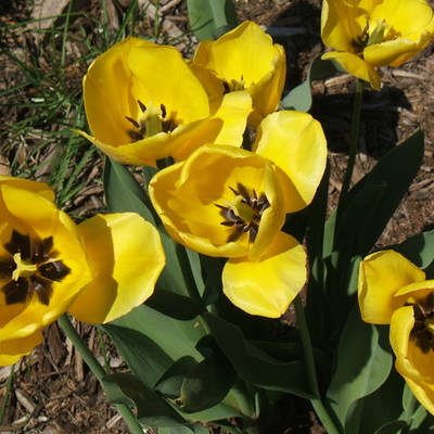 Timeline: My Careers