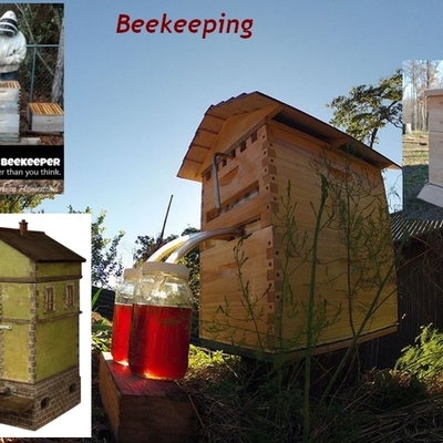 Timeline: Home&Garden