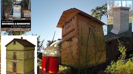 Timeline: Home&Garden