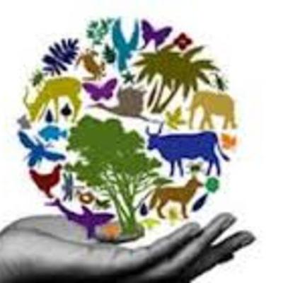 Timeline: EVENTOS DE BIOLOGIA