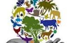 Timeline: EVENTOS DE BIOLOGIA