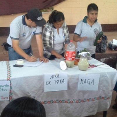 Timeline: Supervisión Educativa