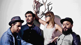 Timeline: Carrera musical: Hello Seahorse!