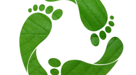 Timeline: HISTORIA DE LA ECOLOGÍA