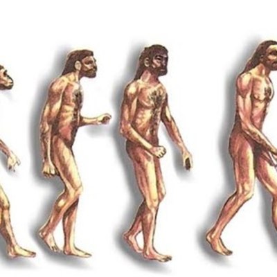 Timeline: Filogénia del Homo sapiens sapiens