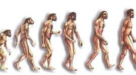 Timeline: Filogénia del Homo sapiens sapiens