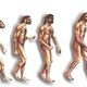 Filogenia del ser humano
