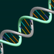 Dna rgb