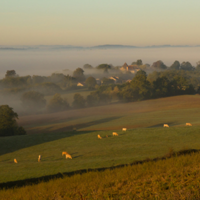 Timeline: manifestations
