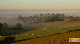 Timeline: manifestations