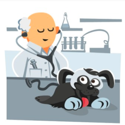 Timeline: Veterinarian History- Career Evaluation part 1