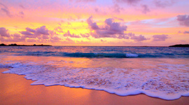 Timeline: stella-james Buchanan