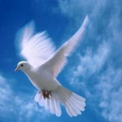 Timeline: PROCESOS DE PAZ EN COLOMBIA