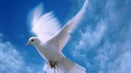 Timeline: PROCESOS DE PAZ EN COLOMBIA