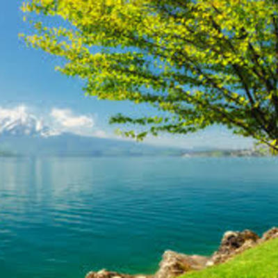 Timeline: La Naturaleza