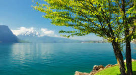 Timeline: La Naturaleza