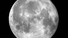 Timeline: הירח טליה זביב