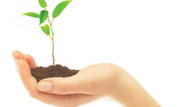 Timeline: Evolución y Origen del Concepto de Desarrollo Sustentable