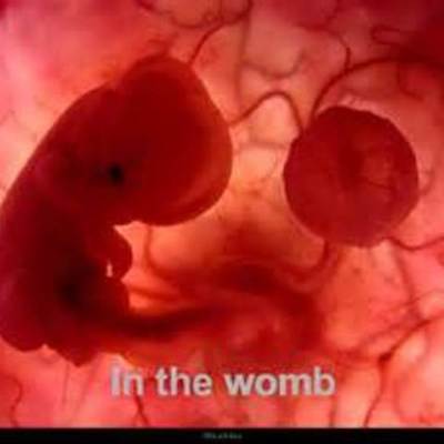 Timeline: Fetal Development, Clovis Ledgister