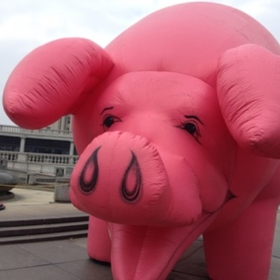 Timeline: The Midnight Raise