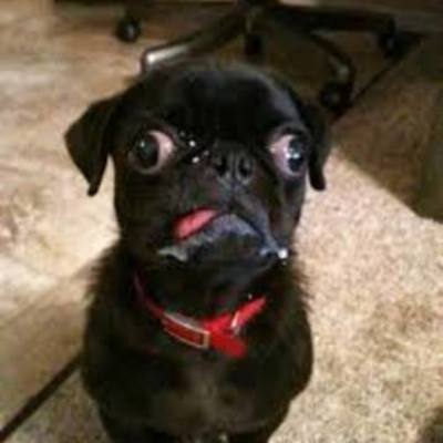 Timeline: Cold War By Sebastian Franco