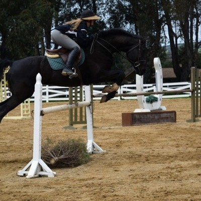 Timeline: Horseback Riding In America