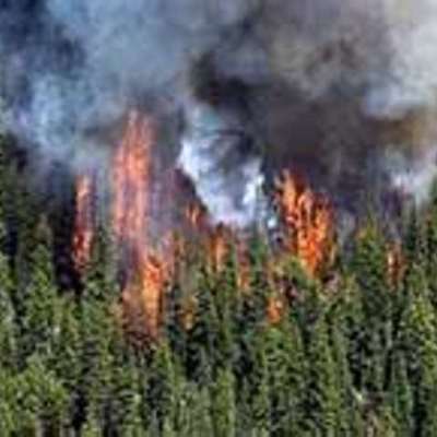 Timeline: CAMPAMENTO VACACIONAL 2010