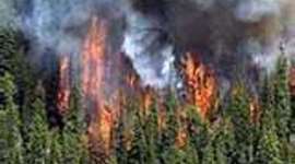 Timeline: CAMPAMENTO VACACIONAL 2010