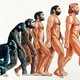 Evolucion humana