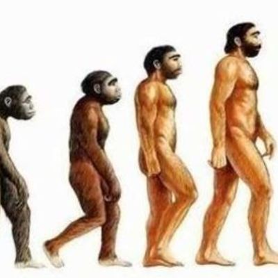 Timeline: EJE CRONÓLOGICO