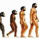 Evolución humana