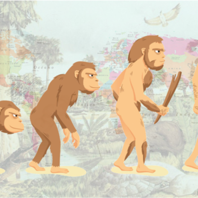 Timeline: HOMÍNIDOS