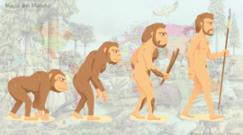 Timeline: HOMÍNIDOS