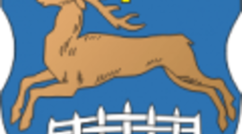 Timeline: От прошлого к настоящему