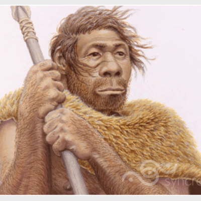 Timeline: HOMÍNIDOS