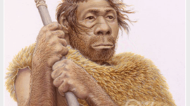 Timeline: HOMÍNIDOS