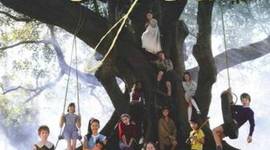 Timeline: MY PLACE - Laura