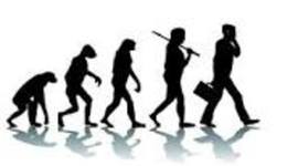 Timeline: Eje cronológico homínidos