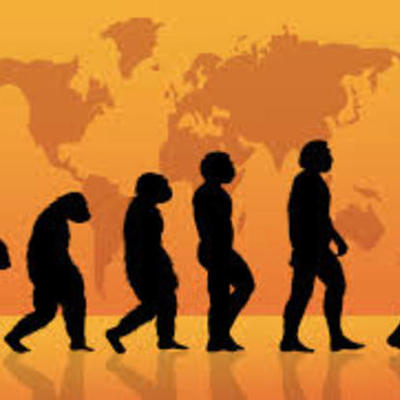 Timeline: Evolución Humana