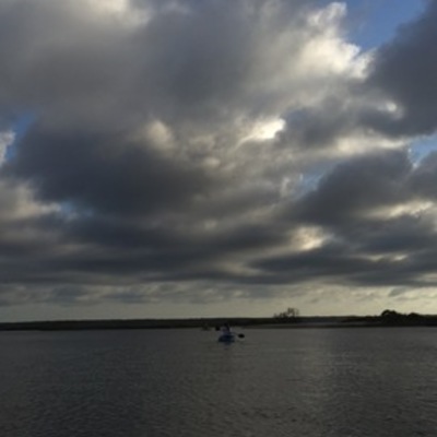 Timeline: Whale Docs