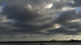 Timeline: Whale Docs