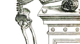 Timeline: Rivoluzione Scientifica 01